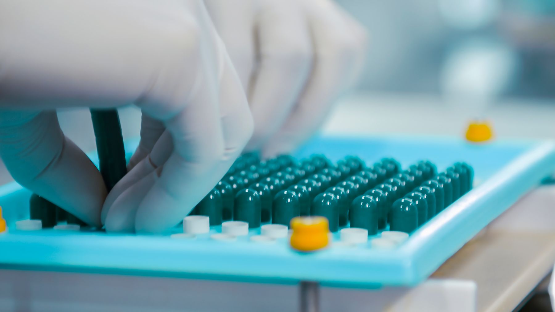 Opération de manipulation de capsules dans un environnement pharmaceutique contrôlé.